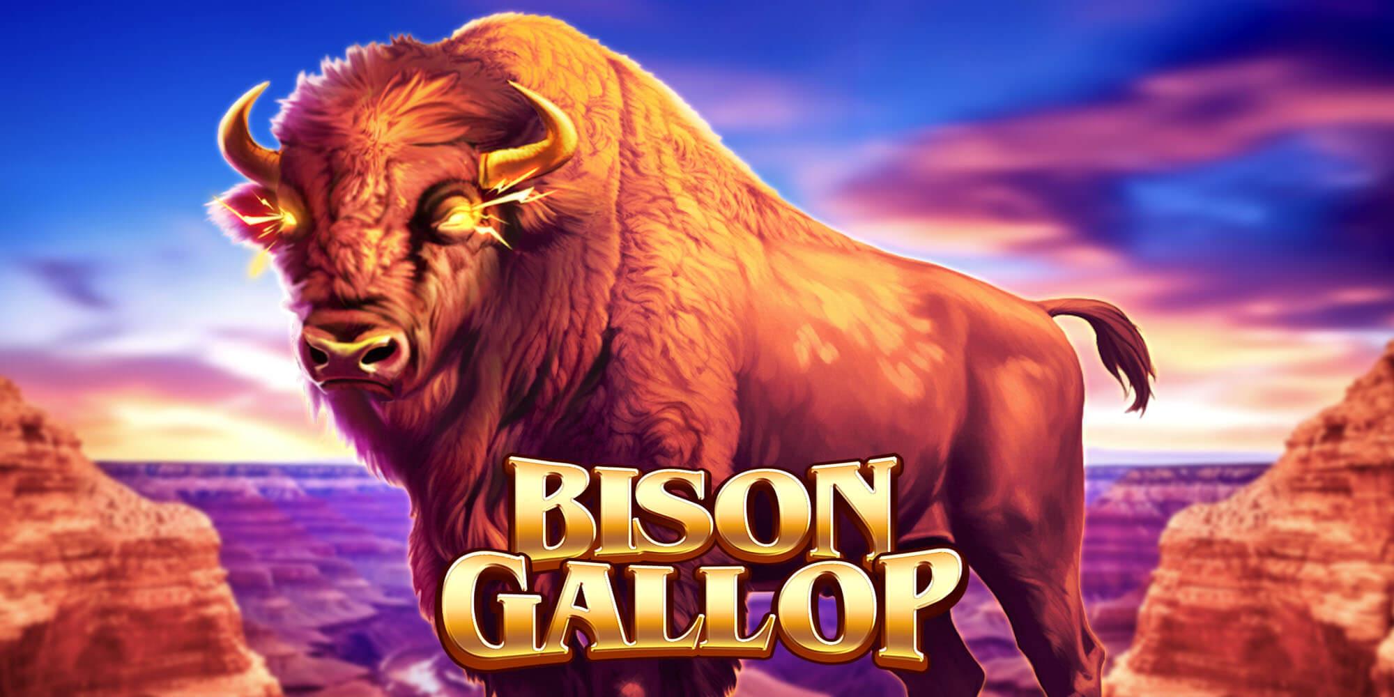 Bison Gallop